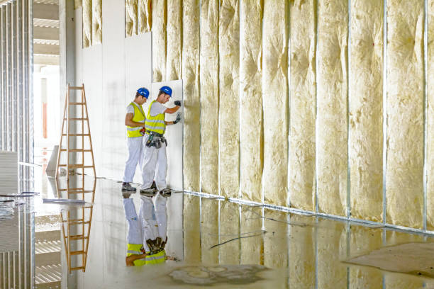 Best Commercial Insulation in Elwood, KS